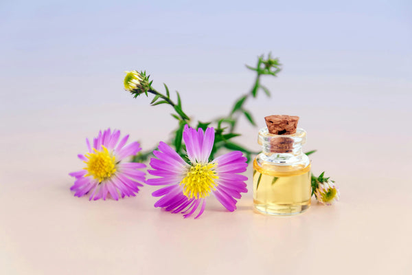Routine-de-Parfum-pour-l-ĂtĂ©-Comment-Rester-Frais-Toute-la-JournĂ©e Seraphia