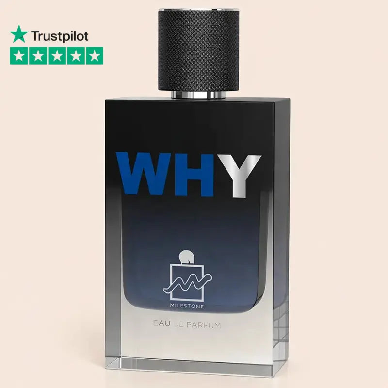 Why - Y Yves Saint Laurent Inspiration Y Yves Saint Laurent